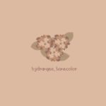 hydrangea_tonecolor