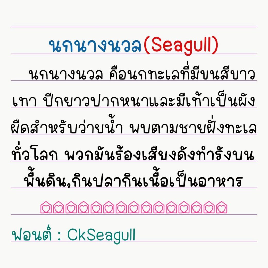 Font CkSeagull