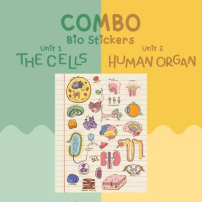 timeline_20210716_225427