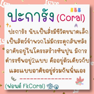 timeline_20240925_093527