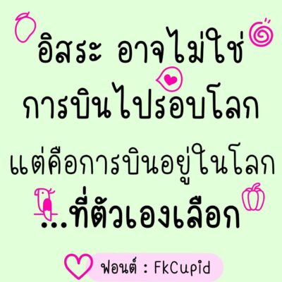 timeline_20241023_091705