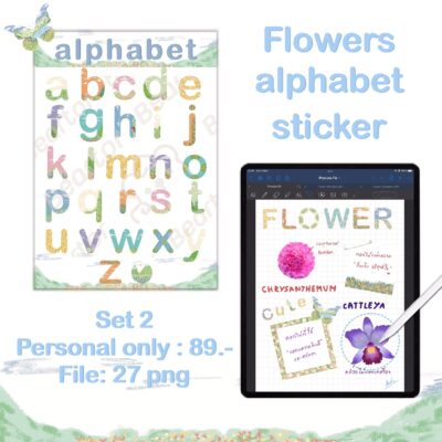 timeline_25650305_175710